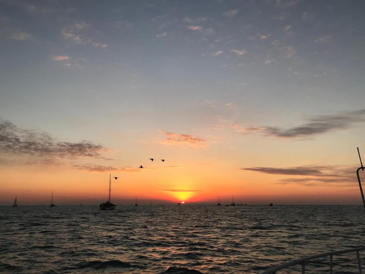 فندق Sea And Yacht بوسان المظهر الخارجي الصورة